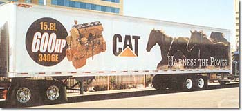 cat_lg